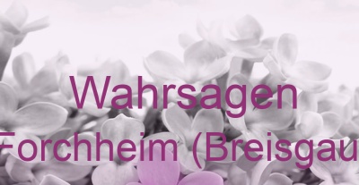 Wahrsagen Forchheim (Breisgau) | Top-Experten für Kartenlegen, Wahrsagen, Hellsehen, Zukunftsdeutung.
